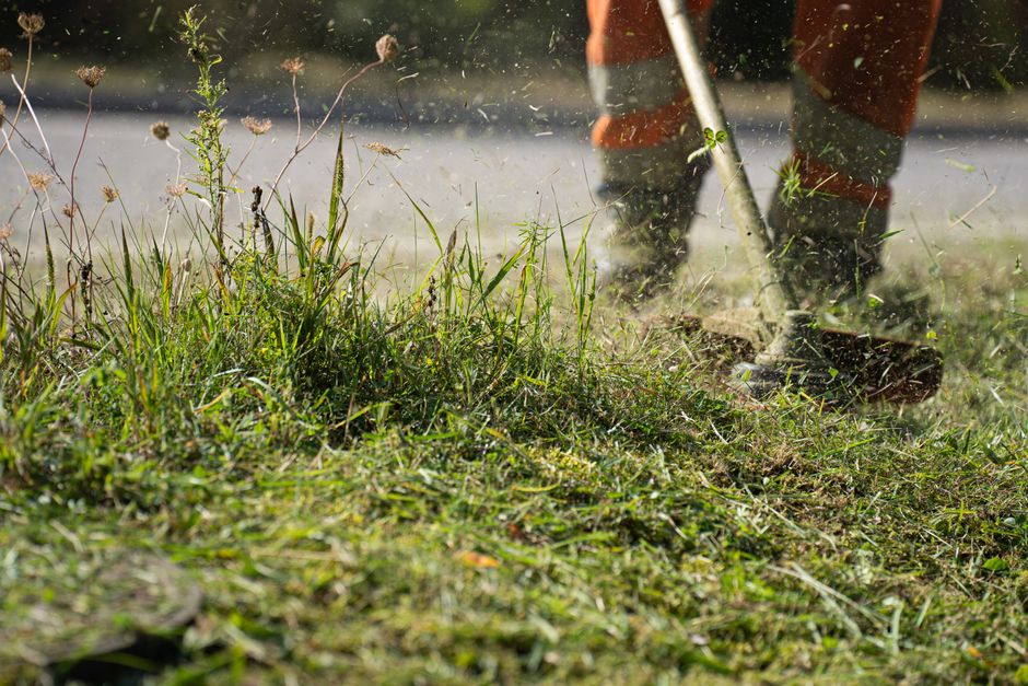 Professional landscaper working on a beautiful garden design
